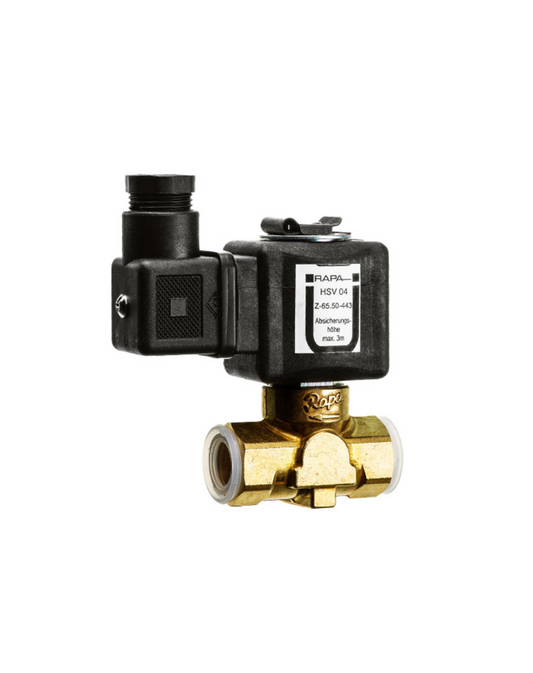 Rapa elektromag. Heberschu HSV 04 3/8'' 220 V -0, 9 - 3 bar, 120 l/h mit Bauartzulassung